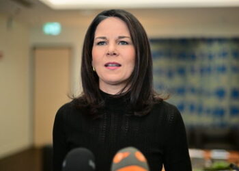 "Ansehen im Ausland auf Schmalspur abgeschoben" – Hochrangige Ex-UN-Mitglieder kritisieren Baerbock