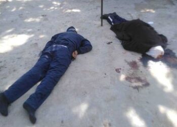 "EU stellt sich auf die Seite der Schlächter" – AfD-Politiker verurteilen Völkermord in Syrien