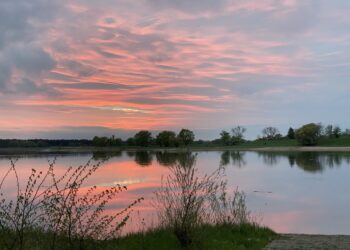 Erinnerungen an Papst Franziskus? Die Ausgrenzung von Ungeimpften und seine "Impf-Münze"