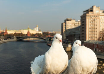Warum Russland Frieden will