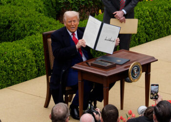 Was, wenn Trumps Zölle durchaus sinnvoll sind?