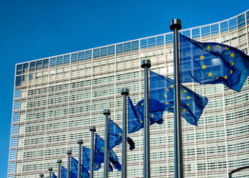 Abgeordneter: EU hat Ermittlungen wegen Moskau-Besuchen zum Tag des Sieges eingeleitet