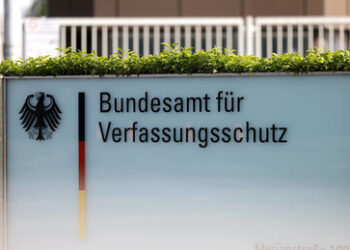 AfD-Gutachten: Ein Argument für die Auflösung des Verfassungsschutzes (Teil I)