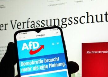 AfD-Parteirichter zum BfV-Gutachten: Es gibt keine gesetzliche Definition des Rechtsextremismus