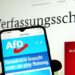 AfD-Parteirichter zum BfV-Gutachten: Es gibt keine gesetzliche Definition des Rechtsextremismus