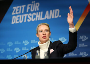 AfD klagt gegen Verfassungsschutz