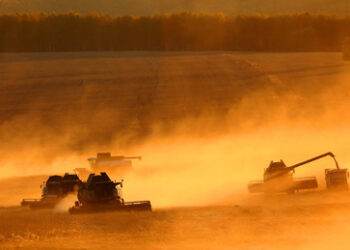 Afrika: Russland steigert Weizenexporte, Frankreich verliert Boden