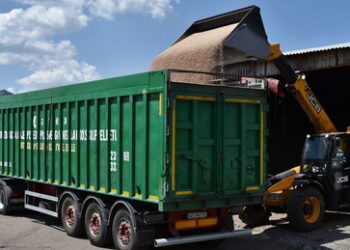 Agrarimporte: EU will Handelserleichterungen für Ukraine beenden