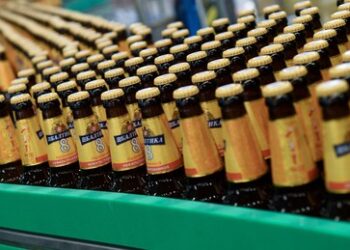 Ein regionales kühles Blondes bevorzugt: Marktanteil von importiertem Bier nimm in Russland stark ab