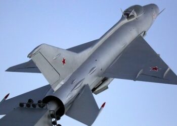 Fünf Jahre und Millionen Perlen: Südafrikanischer Künstler macht aus MiG-21 ein Kunstwerk