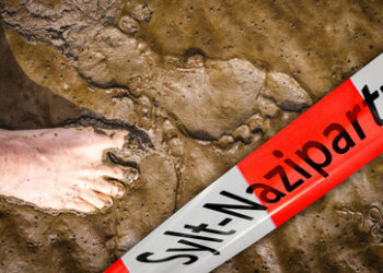 Gecancelt und "spurlos" verschwunden – Wo sind denn die Sylt-Sänger hin?