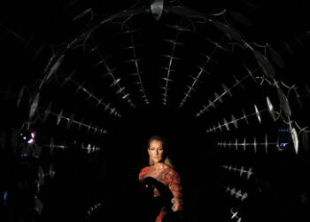 Interne ESC-Akten verraten: Céline Dion ist dabei