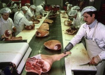 Merz & Co. appellieren: "Faule" Deutsche sollen sich ein Beispiel an fleißigen Griechen nehmen