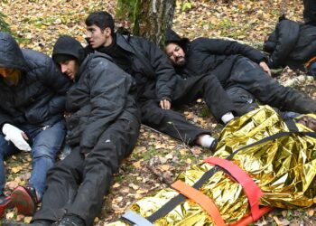 Österreich: Europol zerschlägt Schlepper-Netzwerk