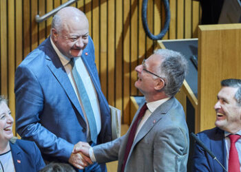 Österreich zahlt – Der Parteiapparat lebt