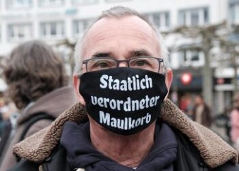 Schränken Beleidigungen das Wirken von Politikern ein?