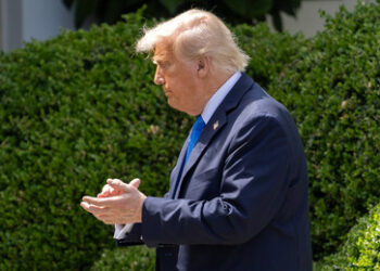 Trump über Telefonat mit Putin: Verhandlungen werden sofort beginnen