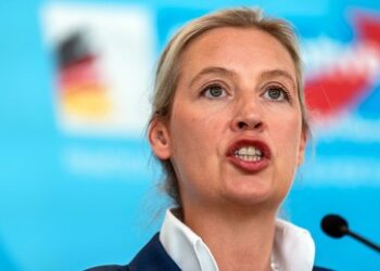 AfD-Chefin Weidel: "Merz sabotiert Trumps Friedensmission"