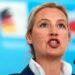 AfD-Chefin Weidel: "Merz sabotiert Trumps Friedensmission"