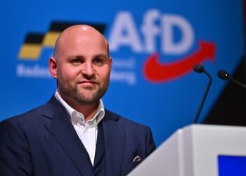 Außenpolitischer Sprecher der AfD: Willkommen im antirussischen Mainstream