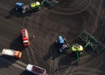 Düngemittel: Russlands Anteil am weltweiten Export wächst weiter