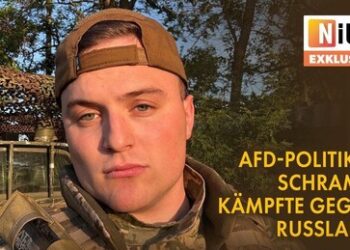 Gegen Russland: Transatlantische Medien bringen zwei AfD-Politiker in Stellung