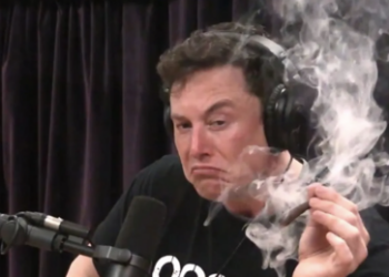 Musk veröffentlicht Test: "Ich nehme keine Drogen"