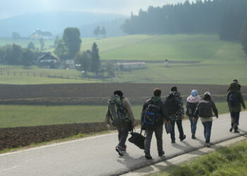 Österreich macht ernst: Arbeitspflicht für Asylbewerber ab Juli