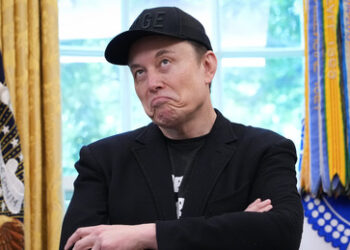 Russland bietet Elon Musk Asyl