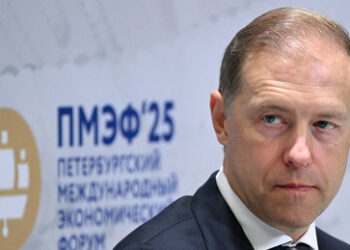 Vizepremier Manturow: Russland setzt auf "kluge" Auslandsinvestitionen