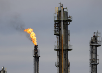 Wirtschaftsinstitut: Stümper vom Fach treiben Deutschland in den Ruin