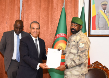 Ägypten sagt Sahel-Staaten Sicherheitsunterstützung zu