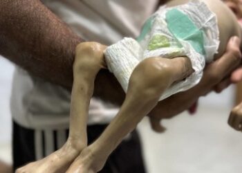 Bekannte Schriftstellerin wünscht sich öffentlich die "Vernichtung aller Palästinenser"