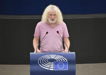 Ex-EU-Abgeordneter Mike Wallace: "EU mitschuldig am Völkermord in Gaza"