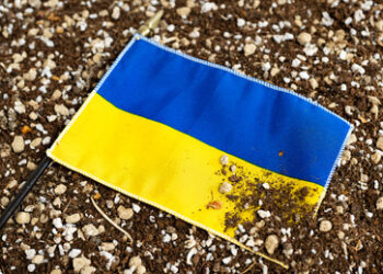 NZZ nennt zwei Möglichkeiten um Niederlage der Ukraine zu verhindern