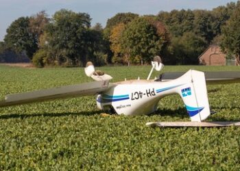 Österreich: Vier Deutsche bei Absturz eines Kleinflugzeugs getötet