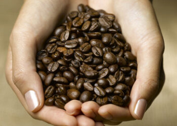 Politisches Eigentor: 50-Prozent-Zölle lassen Kaffee-Preise steigen - auch in den USA