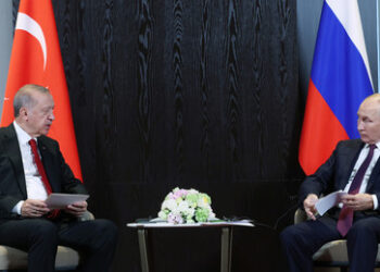 Putin und Erdoğan sprechen über die Ukraine und Syrien