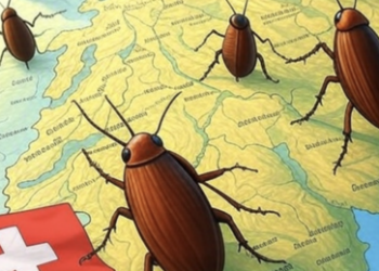 Schweizer SVP-Nachwuchschef vergleicht Flüchtlinge mit Käfern und Viren