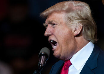 Trump - Narzisstische Verletzbarkeit und gefährliche politische Schmeicheleien