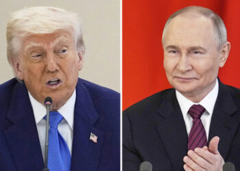"Er ist ein Profi": Trump erkennt Putins Kompetenz im Umgehen von Sanktionen an