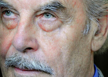 Anwältin fordert Freilassung von Josef Fritzl