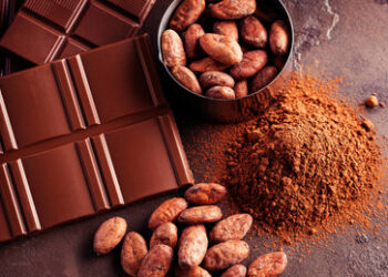 Entwaldungsfreiheit und Schokolade: Die EU, die Bürokratie und der Wahn der Macht