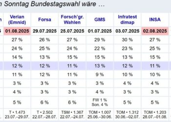 Erstmals seit Mai: AfD erreicht in Wahlumfrage wieder 25 Prozent