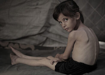 Gaza: Genozid gemeinsam mit Deutschland – Die falsche Lehre aus der Geschichte