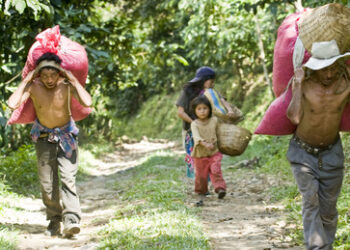 Geheimdekret: Trump genehmigt US-Militäreinsätze in Lateinamerika ohne Kongresszustimmung