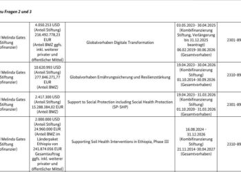 Geld ist da – Bill Gates erhält von Steuerzahlern bis 2027 mehr als 600 Millionen Euro