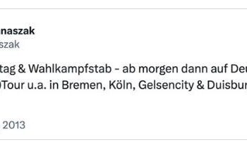 Jugendsünden? Grünen-Chef Felix Banaszak löscht seine antideutschen X-Beiträge