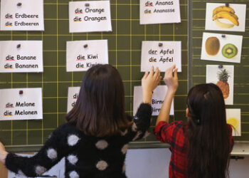 Sprachkrise an Schweizer Schulen: Deutschkenntnisse brechen ein