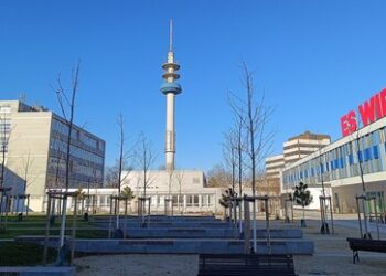 Streit um AfD-Kandidaten – Ludwigshafen und kein Ende ...